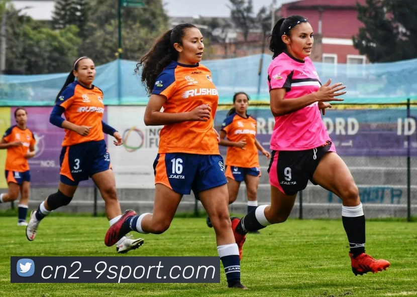 九游体育官网平台生态图